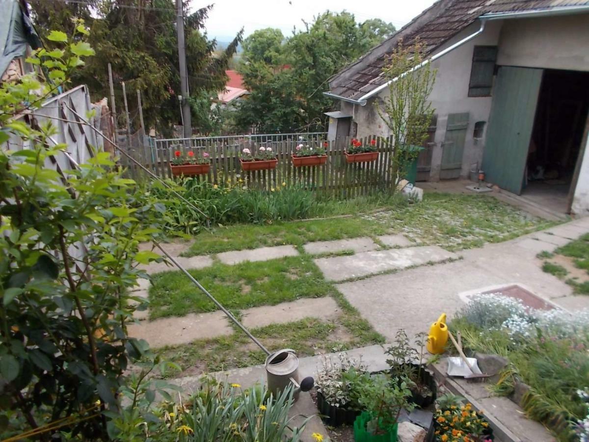 U Babicky A Jeji Psi Smecky Guest House Veselicko Bagian luar foto